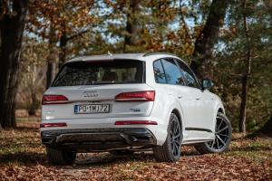 Audi Q7 50 TDI Quattro S-Line 2019 года  (WW)